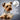 Four Paws Magic Coat Ear & Eye All Dogs Grooming Scissors Four Paws