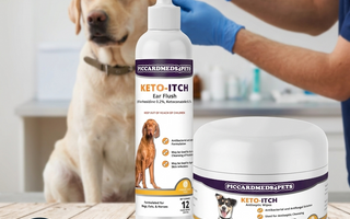 How to Clean Your Dog’s Ears (And Stop Itch & Odor Fast)