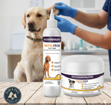 How to Clean Your Dog’s Ears (And Stop Itch & Odor Fast)