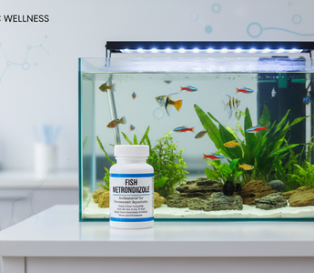 Metronidazole for Fish: What It Treats and How to Use It Safely