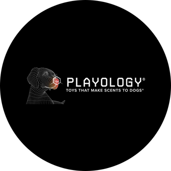Shop Playology