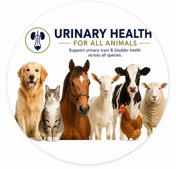 Urinary Health For All Animals