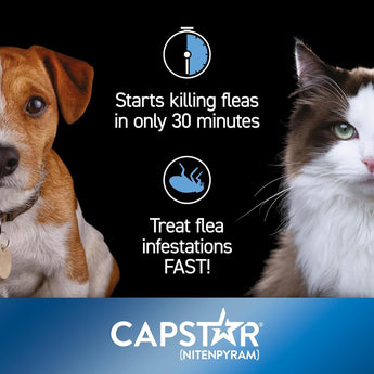 Capstar Fast-Acting Oral Treatment for Dogs & Cats 2-25 lb 6 Doses Fas ...