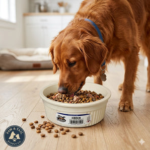 Pet Lodge Crock Pet Feed & Water Bowl Holds 20 oz Chew Resistant Dishwasher Safe Dish