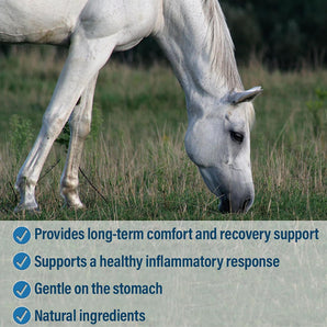 Absorbine Bute Less Pellets Horse Recovery Support 5 lbs.