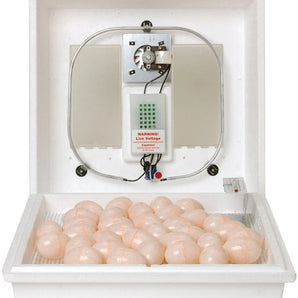 Miller Circulated Air Incubator 10300 Digital for Chickens, Ducks & Quail