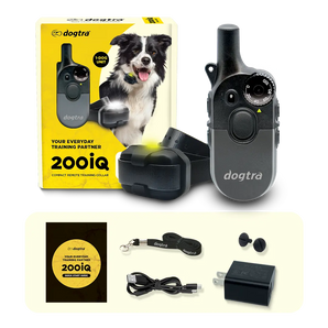 Dogtra 1/2 Mile 1 Dog Compact Remote Trainer 200iQ E-Collar