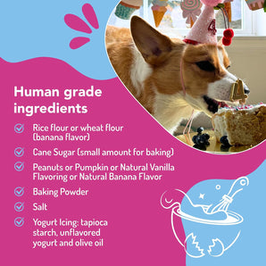 Puppy Cake Dog Birthday Cake Kit Birthday Cake Flavor Celebration Treats USA Made