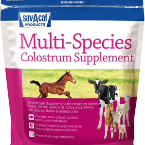 Sav-A-Caf Ultra Start Multi-Species Colostrum Supplement 1lb Pouch