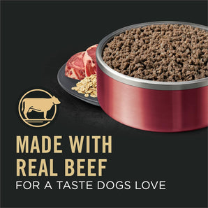 Pro Plan Sensitive Skin & Stomach Wet Dog Food Classic Beef & Oat Meal Entrée (13oz)