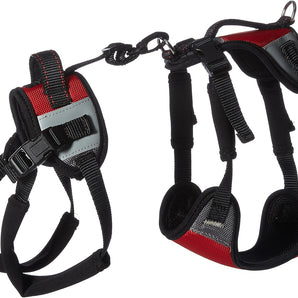 Total Pet Health Lift and Go Dog Lead, Red Small Fits Chest 19"-30"