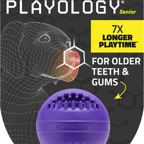 Playology Dental Chew Ball Toy for Senior Dogs Medium Pork Sausage