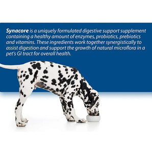 Synacore Digestive Support Dogs 30 Stick Packs Probiotics Enzymes Vitamins 2.5g