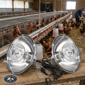 Little Giant Reflector Clamp Heat Lamp 10.5" Chicks Poultry Brooder Fixture 250W 2PCK