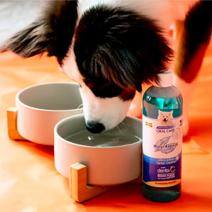 Nylabone Advanced Oral Car Liquid Tartar Remover for Dogs 16 oz.