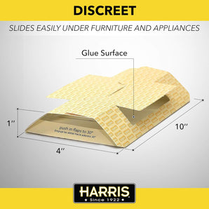 Harris Roach Glue Traps with Lure 2 Pack Non-Toxic Pesticide-Free