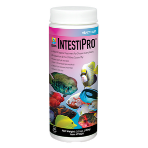 Hikari IntestiPro for Aquarium 3.5oz.