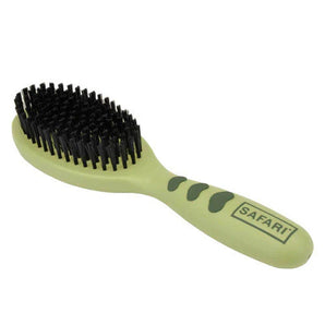 Coastal Safari Small Bristle Dog Brush 8in Pet Grooming Brush for Dogs & Cats