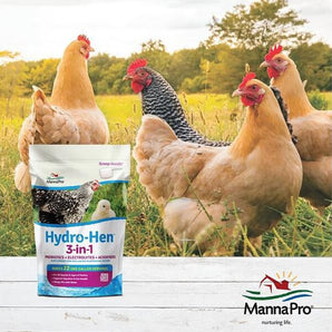 MannaPro Hydro-Hen Water Supplement 3-in-1 Probiotics 8 oz. 2-Pack
