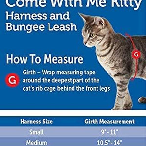 PetSafe Come With Me Kitty Cat Harness & Bungee Leash Small Black