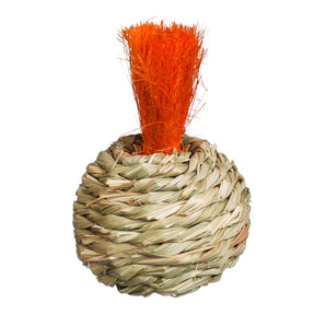 Prevue Pet Products Grassy Nibblers Squash Small Animal Chew Toy