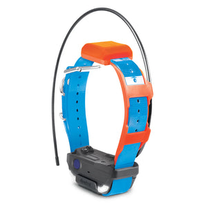 Dogtra Pathfinder2 TRX Extra Receiver Collar Blue