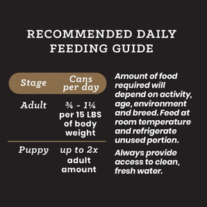 Victor Lamb And Rice Recipe Canned Wet Dog Food 12-Pack