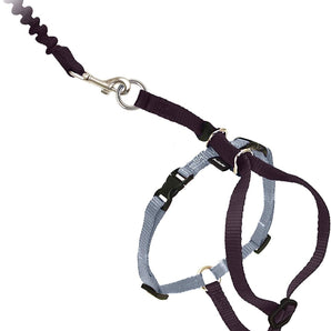 PetSafe Come With Me Kitty Cat Harness & Bungee Leash Small Black