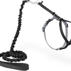 PetSafe Come With Me Kitty Cat Harness & Bungee Leash Large Black