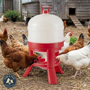 Little Giant Plastic Poultry Dome Waterer 8 Gallon Top Fill Chicken Waterer