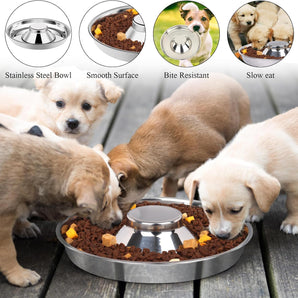 Premium Puppy & Kitten Flying Saucer 11" Metal Dog Food & Water Feeders
