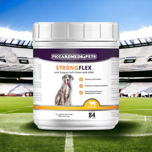 Piccardmeds4pets StrongFlex Joint Support Large Dogs 84 Count 60+ lbs Chews