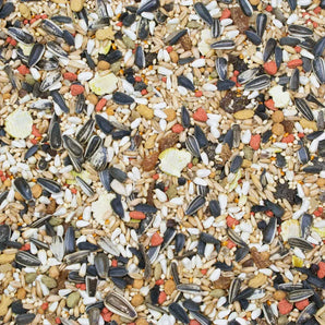 Higgins Vita Seed Cockatiel Food 2.5 lb Premium Seed Blend w/ Probiotics & DHA