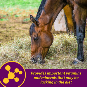 Horse Health Red Cell Supplement 32 oz. Yucca Vitamin Iron Mineral Blood Builder
