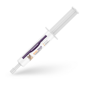 Cat Recovery & Digestive Support Bundle – Virbac Rebound + Digi-Eaze Probiotic Paste
