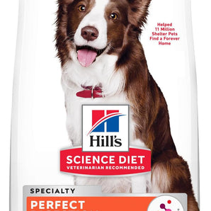 Hill's Science Diet Adult Perfect Digestion Chicken, Brown Rice & Whole Oats Recipe Dry Dog Food Bag