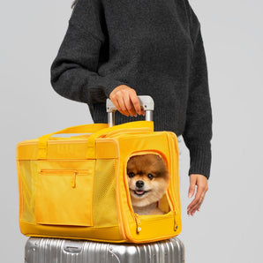 Sunburst Yellow Pet Travel carrier