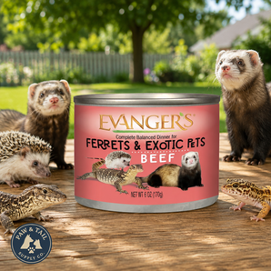 Evanger's Beef Dinner for Ferrets & Exotic Pets Grain Free 6 oz. Can