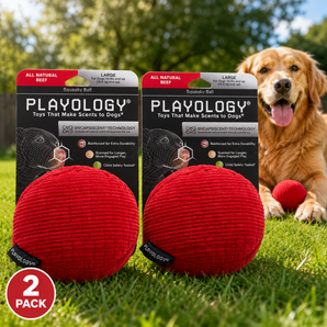 Playology Plush Squeaky Ball Dog Toy Large All-Natural Beef Scent 2-Pack
