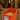 Little Giant Feed Scoop Heavy Duty Stackable Feed Scoop 3QT Red