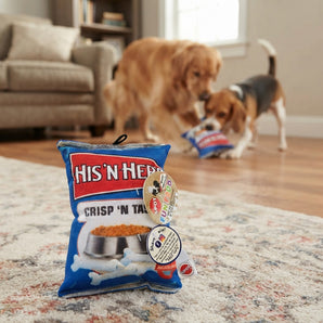 SPOT Fun Food His N Hers Chips Plush Squeaky 8" Dog Toy