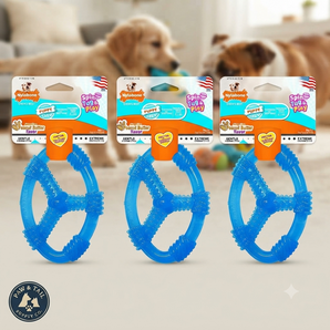 Nylabone Puppy Chew Ring Peanut Butter Dog Toy Wolf 3-Pack Made in USA