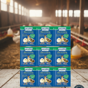 Sav-A-Chick Poultry Vitamins Electrolytes Bird Supplement Stress Relief 9PCK