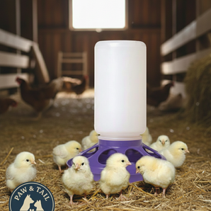 Little Giant 1 Qt Plastic Chick Feeder Jar & Base Set Purple Baby Poultry