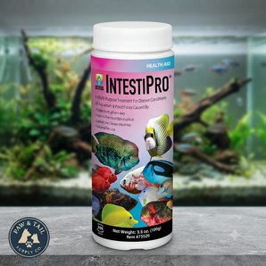 Hikari IntestiPro Aquarium Fish Care Powder Freshwater & Marine 3.5 oz