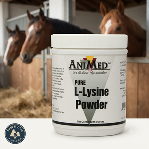 AniMed Pure L-Lysine Powder Horse Feed Supplement 16 oz.