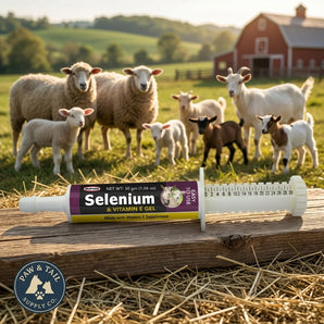 Durvet Selenium & Vitamin E Gel for Sheep & Goat 30gm