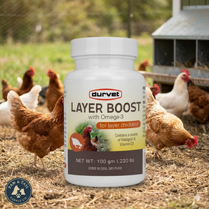 Durvet Layer Boost for Layer Chickens Poultry Vitamin & Electrolyte Supplement 100g