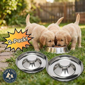 Puppy & Kitten Litter Feeding Saucer 2-Pack – 11" Metal Food & Water Feeders