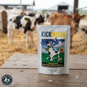 Kick Start Calf Nutritional Supplement Packet 100 gm with Electrolytes